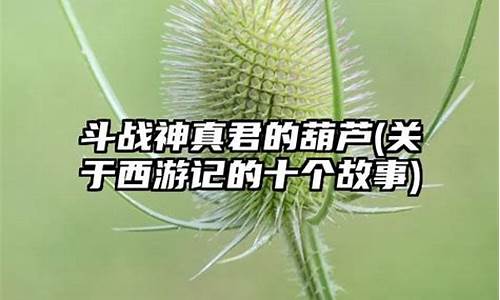 斗战神真言铭牌怎么获得_斗战神真君的葫芦